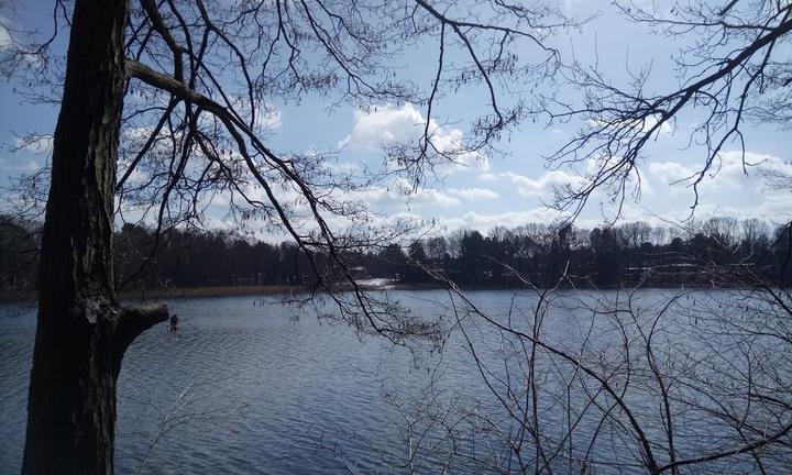 Am Weissen See